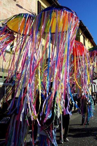 carnevale_porto_ceresio_2014 (003).jpg - User comments